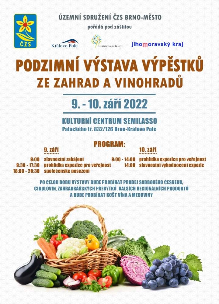 Výstava